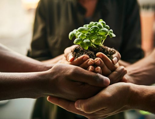 consumidor consciente